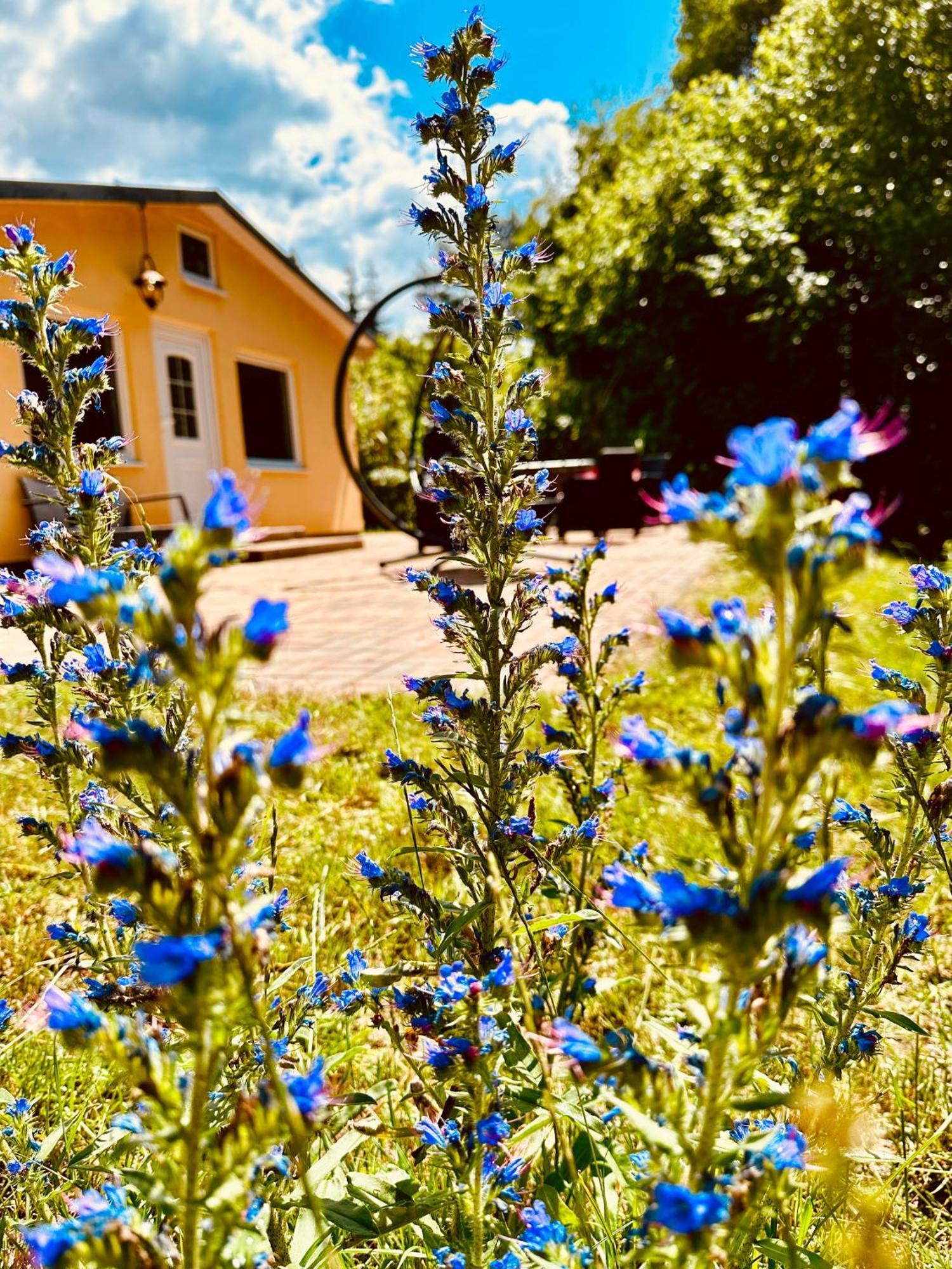 Ferienhaus Biber Godendorf  Dış mekan fotoğraf